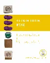 ambre 4.webp