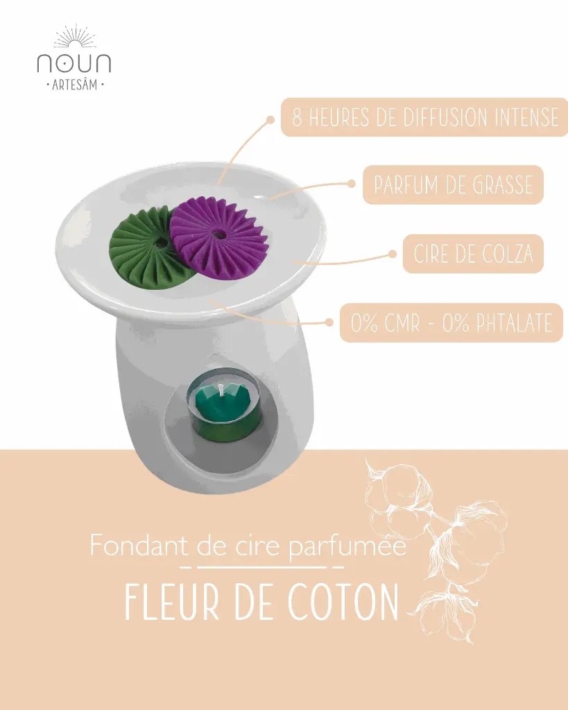 fleur de coton 2.webp