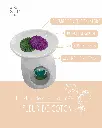 fleur de coton 2.webp