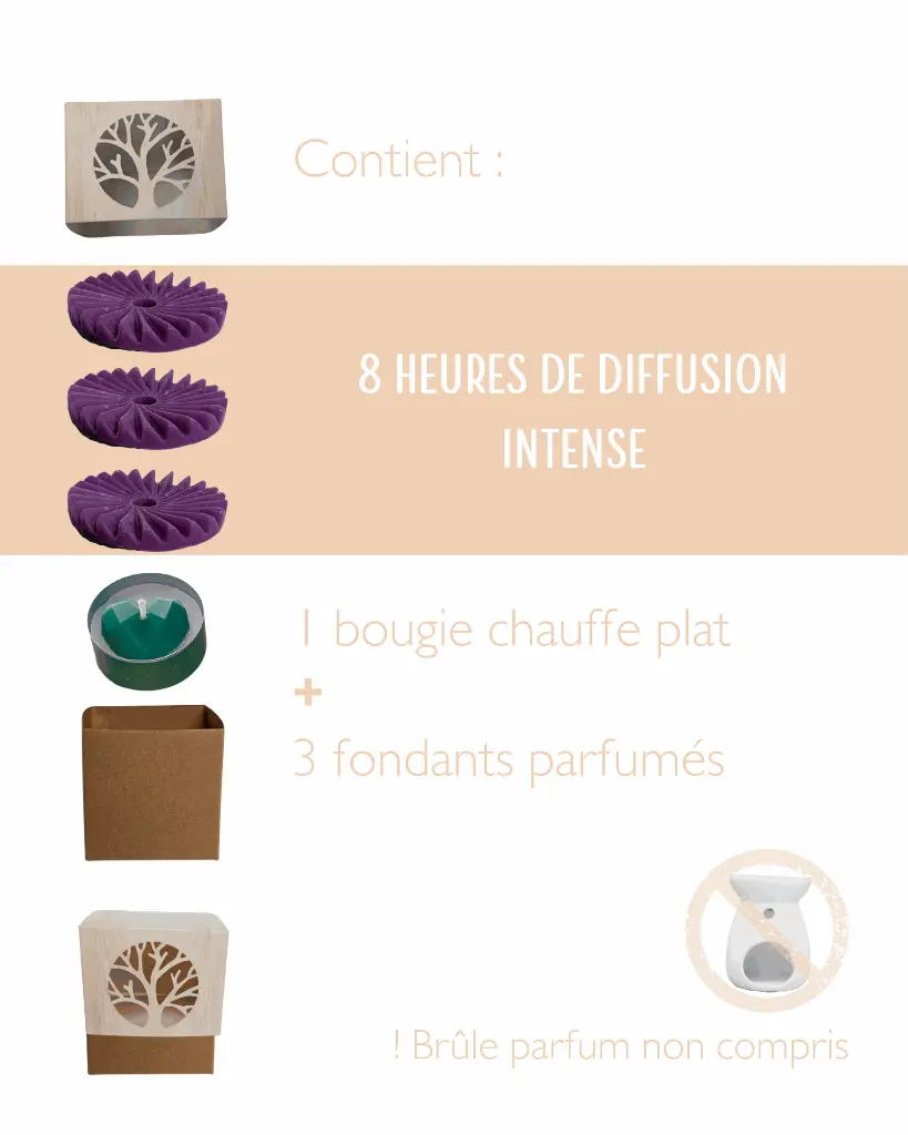 fleur de coton 4.webp