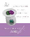lavande 2.webp
