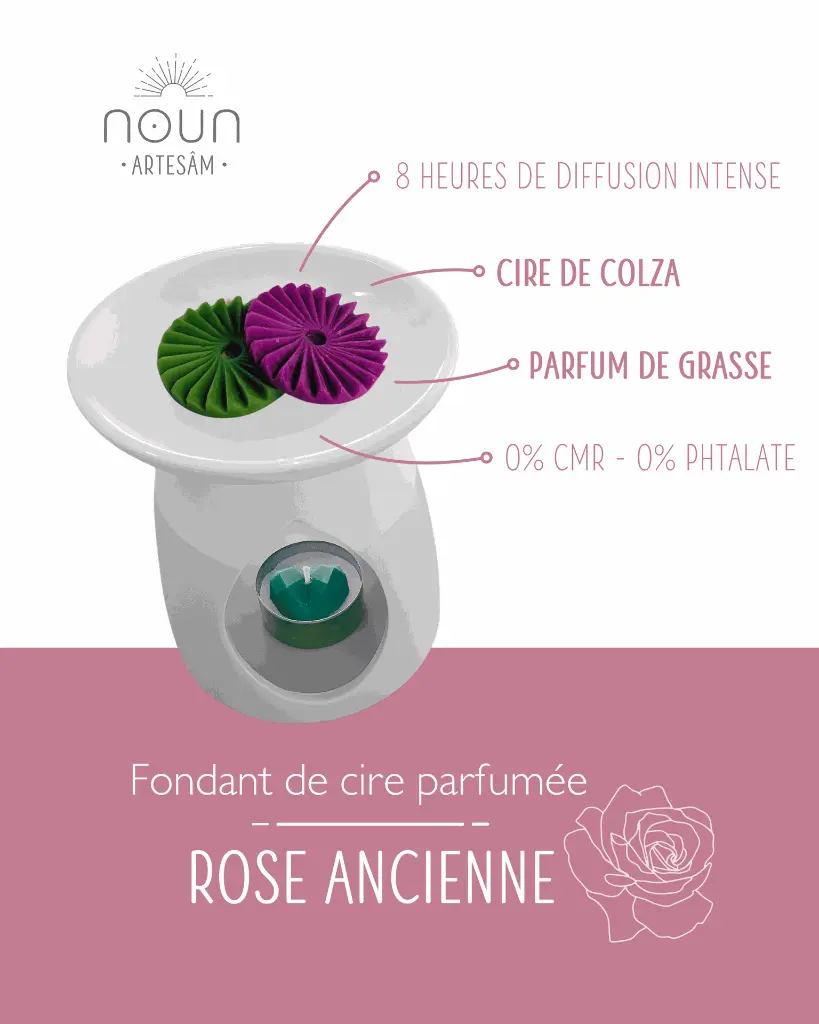 rose ancienne 2.webp