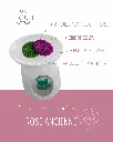 rose ancienne 2.webp