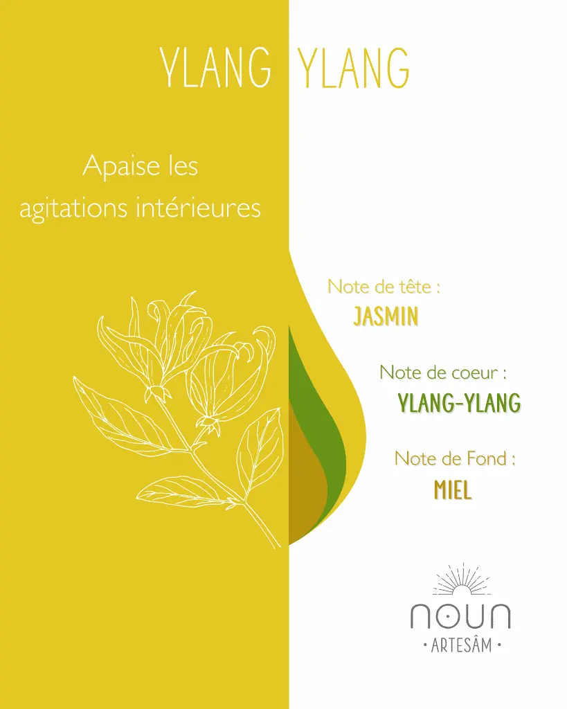 ylang 3.webp