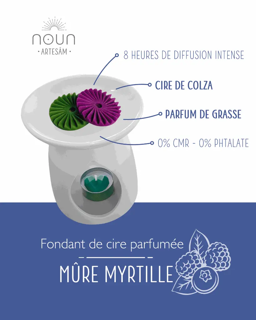 mûre myrtille  2.webp