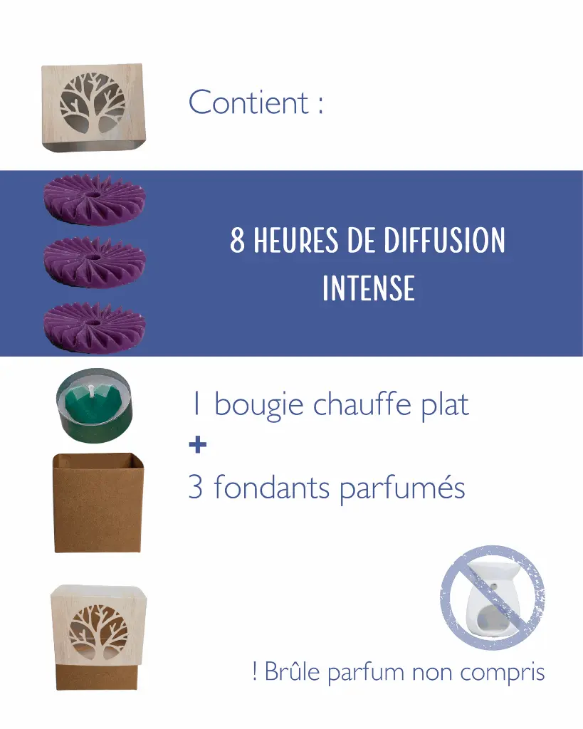 mûre myrtille 4.webp
