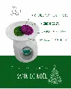 sapin 2.webp