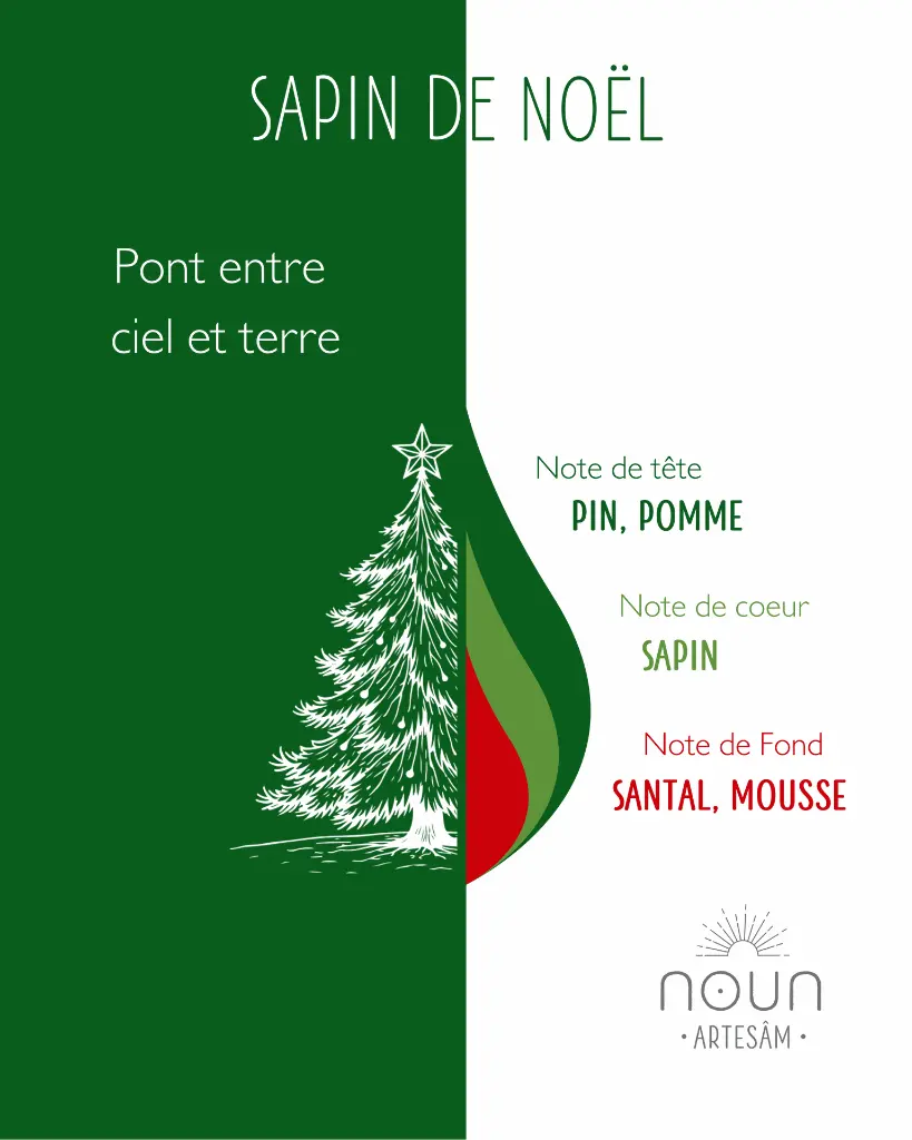 sapin 3.webp