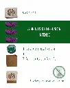 sapin 4.webp