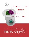 rhubarbe 2.webp
