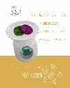 pop corn 2.webp