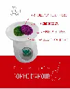 pomme d'amour 2.webp