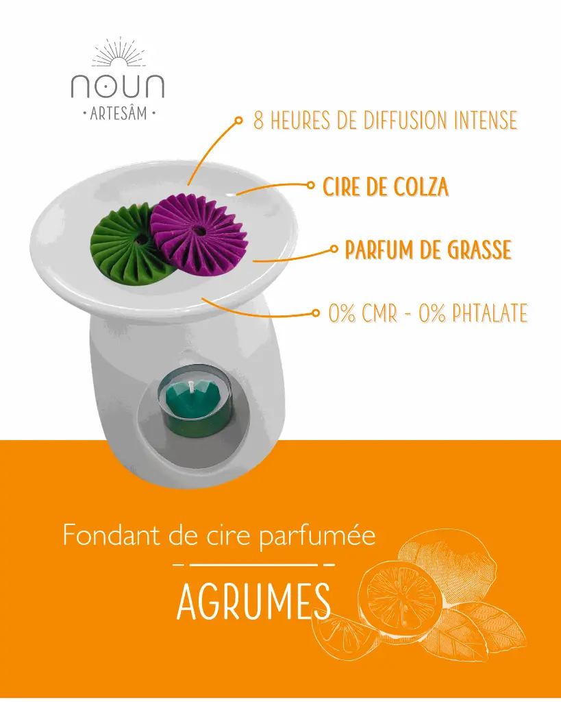 agrumes 2.webp