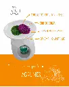 agrumes 2.webp