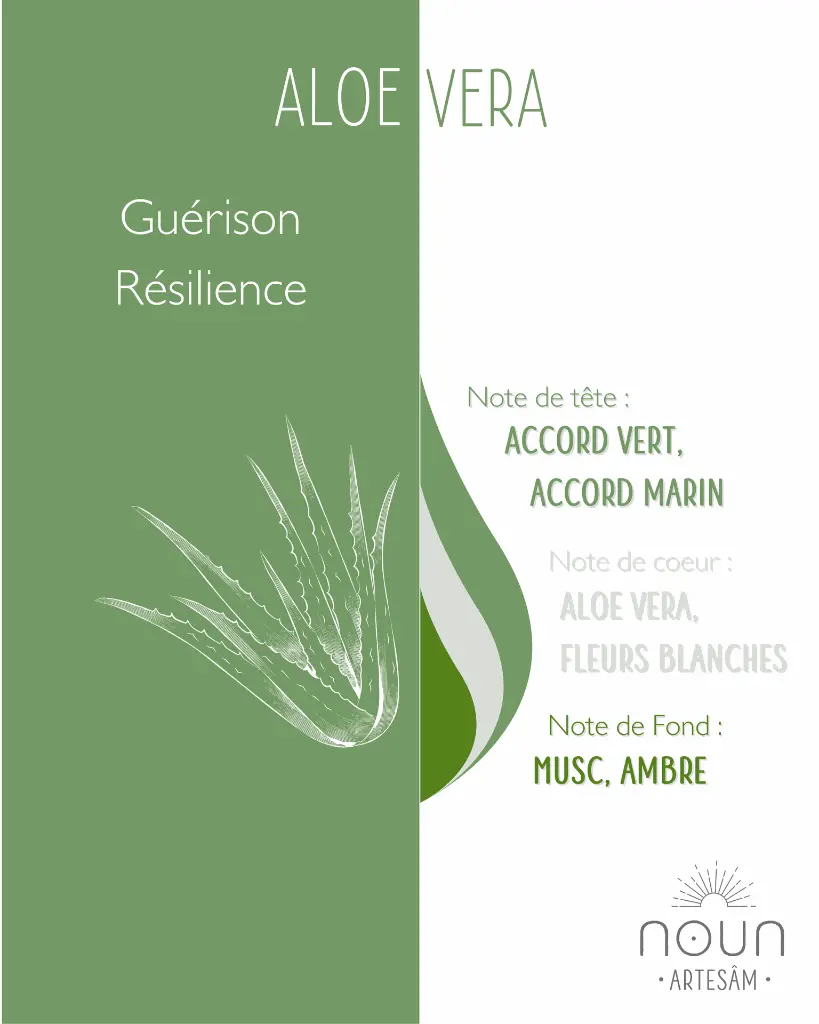 Aloe vera 3.webp