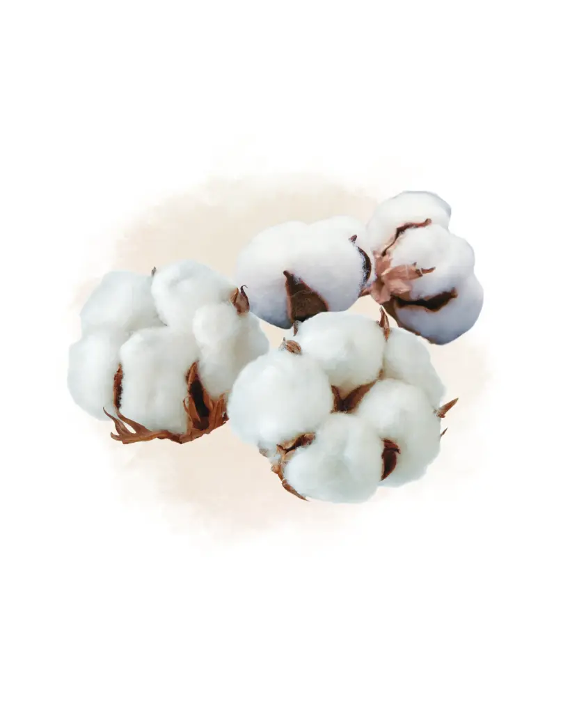 Fondant Fleur de Coton