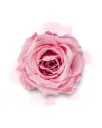 Fondant Rose ancienne