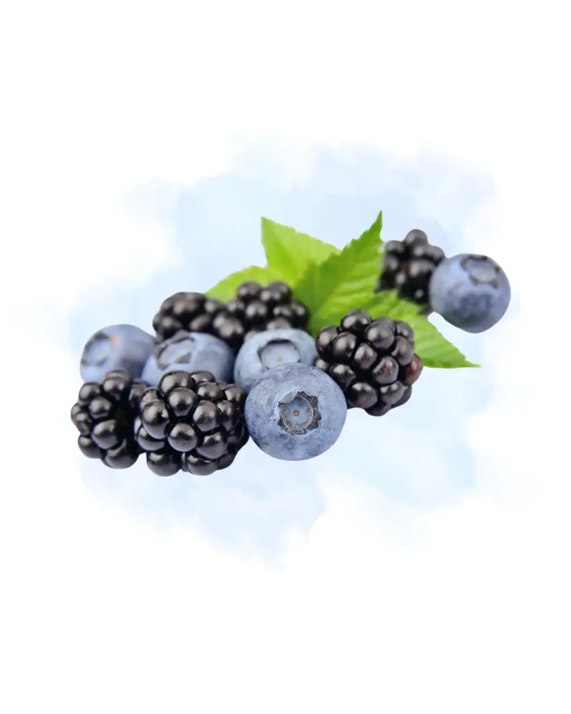 Fondant Mûre Myrtille