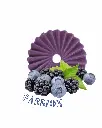 Fondant Mûre Myrtille