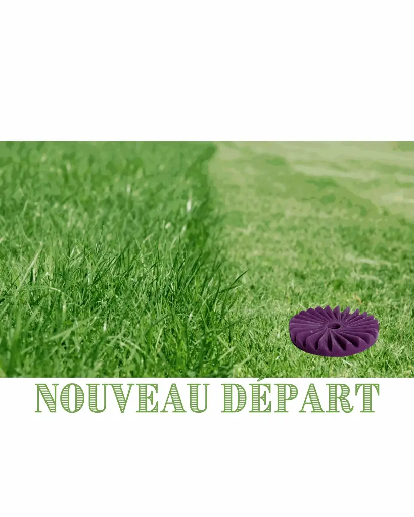 Fondant Herbe coupée