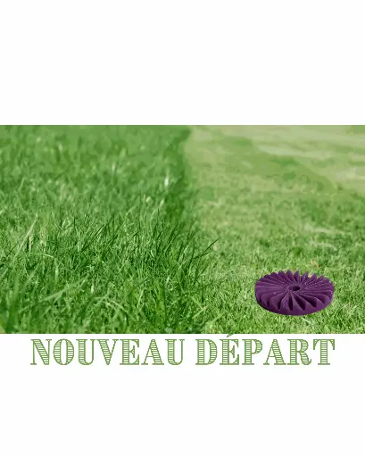 Fondant Herbe coupée
