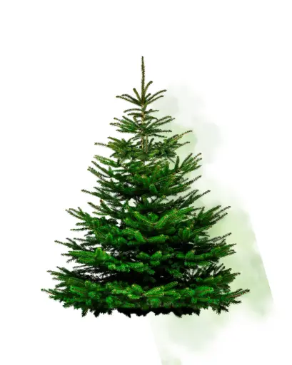 Fondant Sapin de Noël