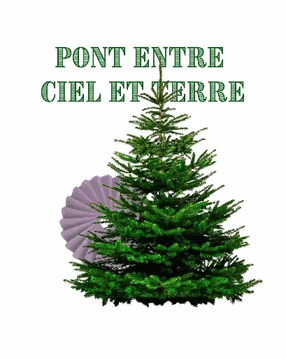 Fondant Sapin de Noël