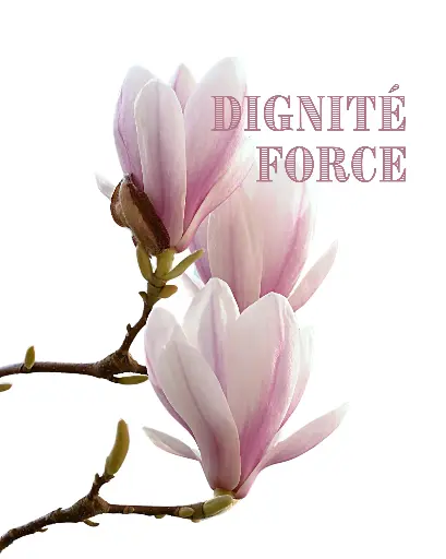 Fondant Magnolia