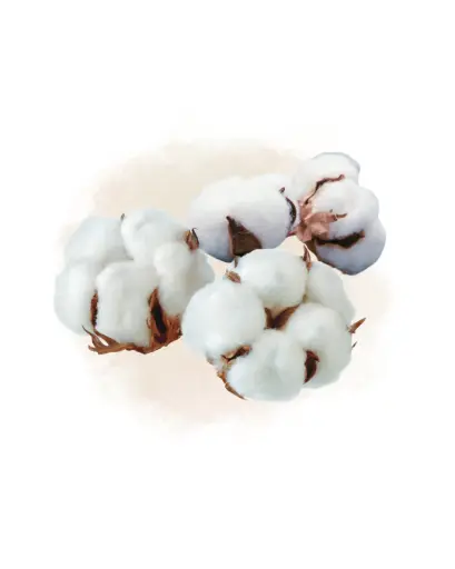 Fondant Fleur de Coton