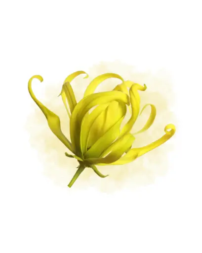 Fondant Ylang Ylang